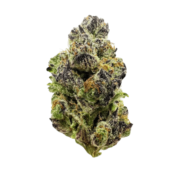 Gas Truffle Bud